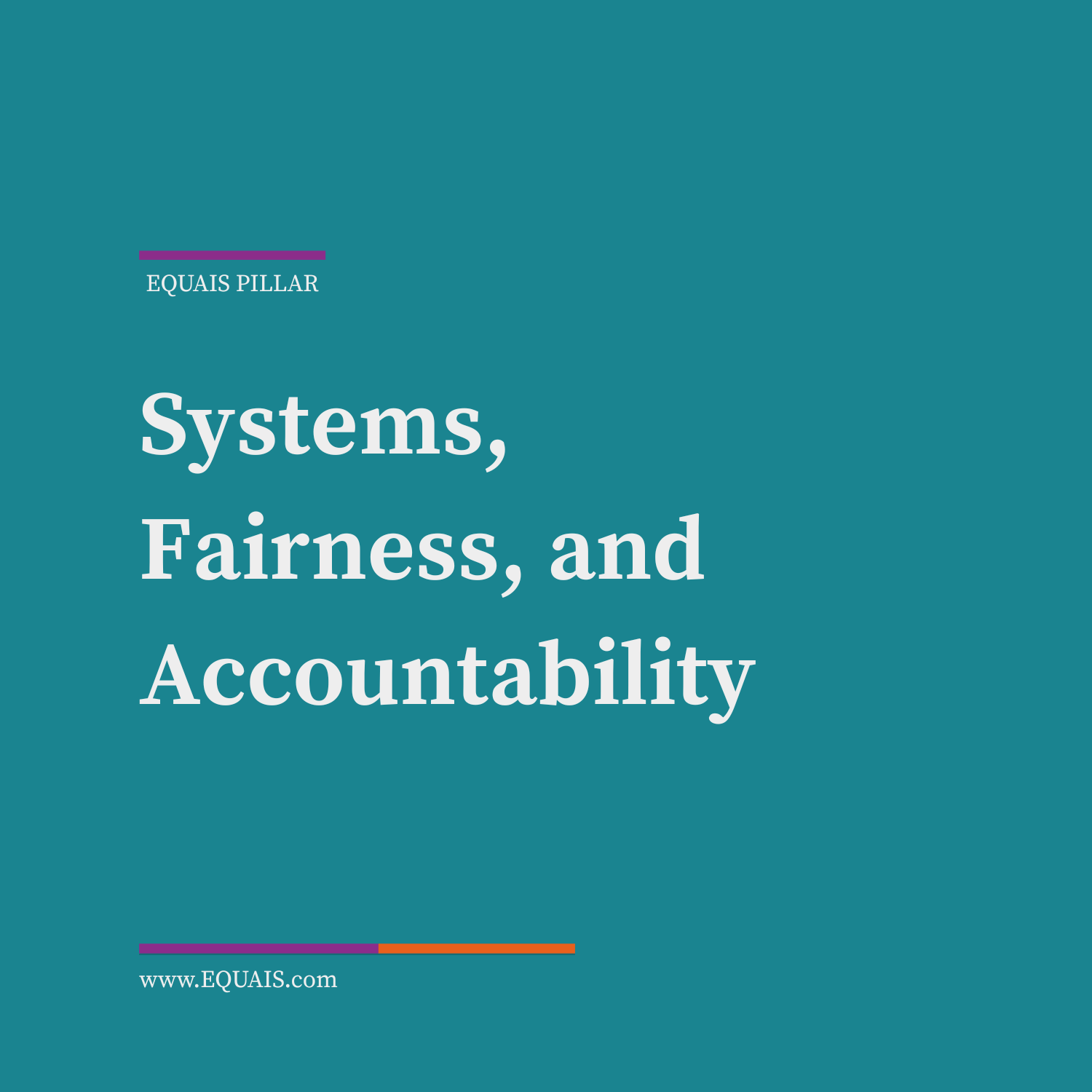 Accountability in Company Systems & Fairness | EQUAIS